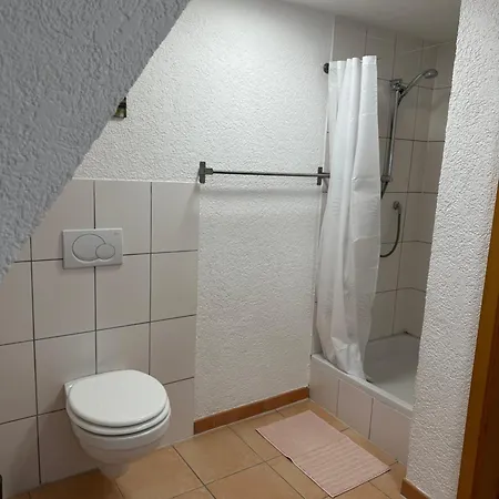 Steinlachquartier شقة